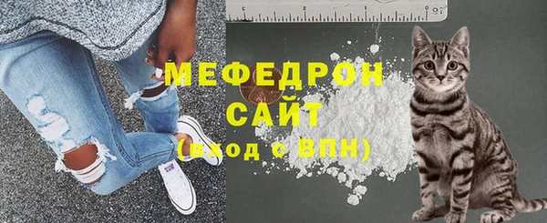 амф Бородино
