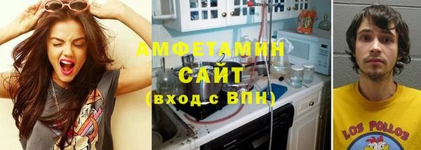 амф Бородино