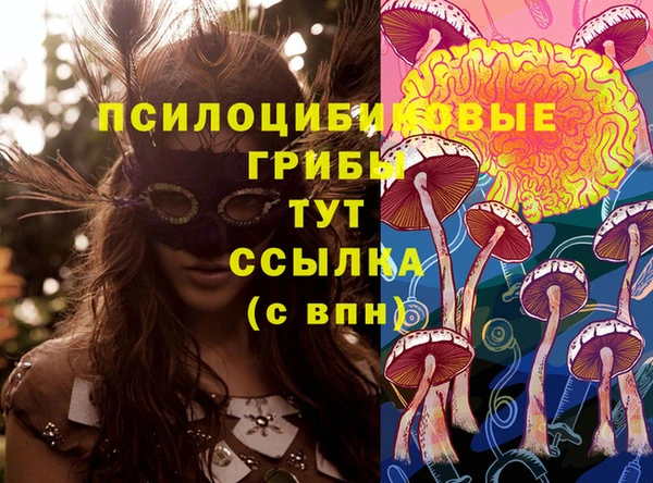 амф Бородино