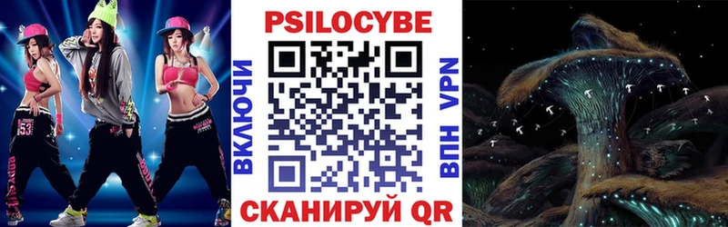 Псилоцибиновые грибы мухоморы  ссылка на мегу онион  Мурманск  как найти закладки 
